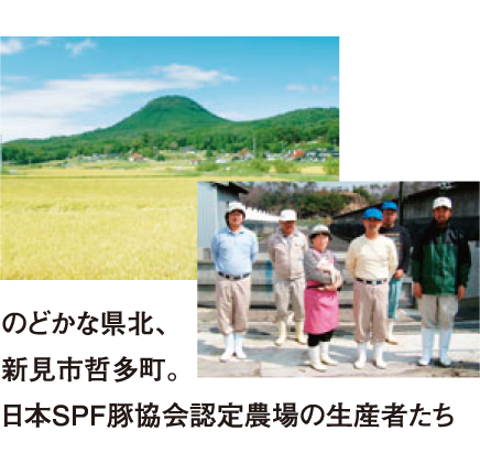 machi kitchen umejaro lunch menu